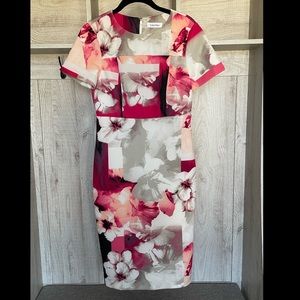 Calvin Klein Dress Size 4